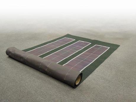 An Unusual Two For One: Controlling Weeds While Generating Energy