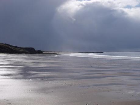 Gullane, East Lothian, Edinburgh, Dog Walking