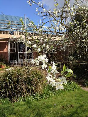 I'm not panicing, honest.