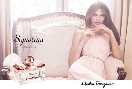 Fragrances : Salvatore Fergamo : Signorina by Salvatore Ferragamo