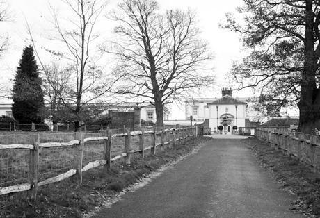 Buxted Park wedding (32)