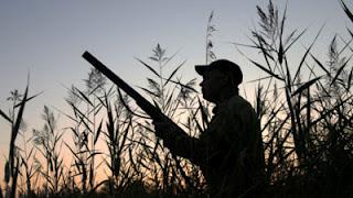 Accidental Shooting of NC Man While Hunting Turkeys - No Charges