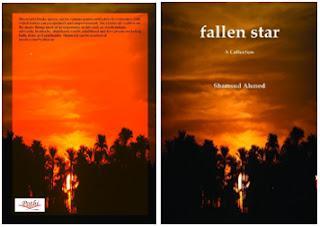 Fallen Star - A Collection