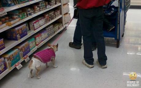 The Top Ten Dogs of Walmart: Uncaged, Unleashed & Unbelievable!