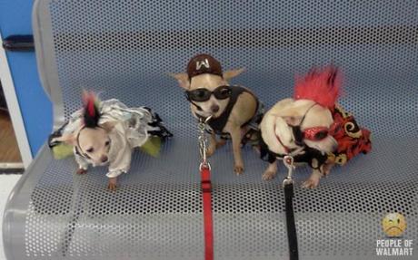 The Top Ten Dogs of Walmart: Uncaged, Unleashed & Unbelievable!