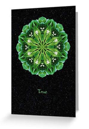 True II Flower Mandala Card