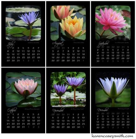2012 Water Lily Calendar - last six months