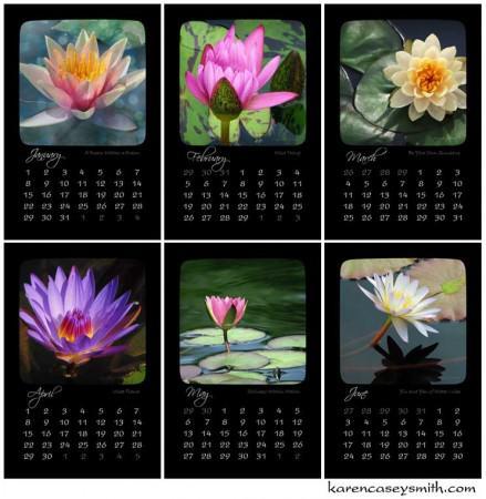 2012 Water Lily Calendar - first six months