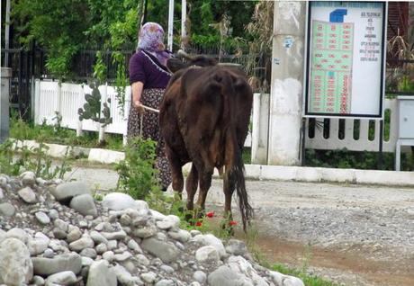 Turkish village woman