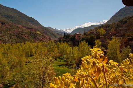 Moroccan Landscape