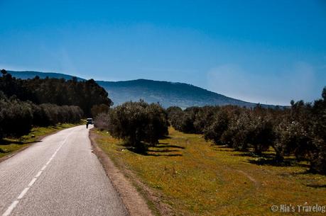 Moroccan Landscape