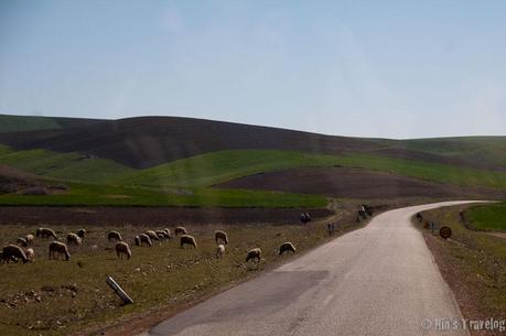 Moroccan Landscape