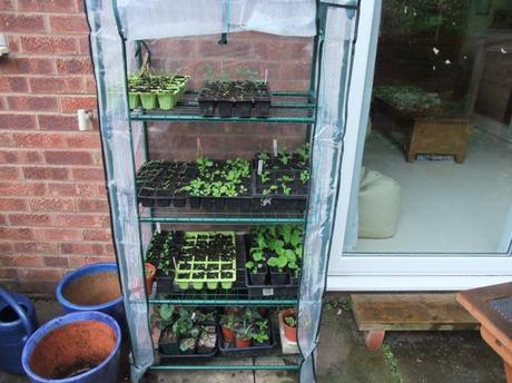 Greenhouse Year – April 2012