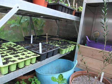 Greenhouse Year – April 2012