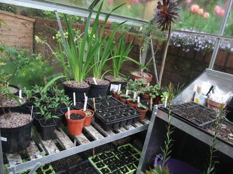 Greenhouse Year – April 2012