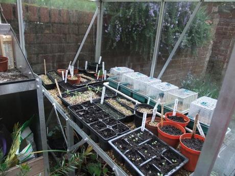 Greenhouse Year – April 2012