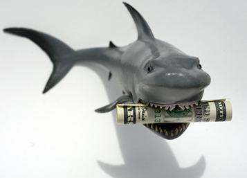 business-sharks