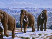 Scientists Clone 10,000 Year Species: Wooly Mammouth