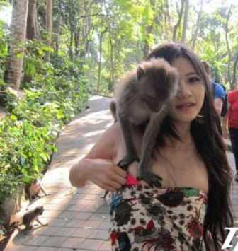 Jolly Bali Monkeys Say Yes to More Than the Dress