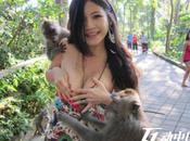 Jolly Bali Monkeys More Than Dress