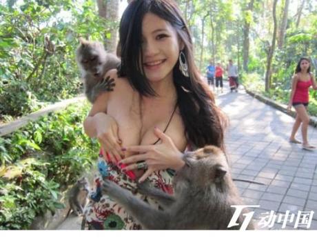 Jolly Bali Monkeys Say Yes to More Than the Dress