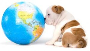 How to Celebrate Earth Day With Your Dog