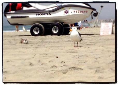 Beach Bummin' it, San Diego Style.