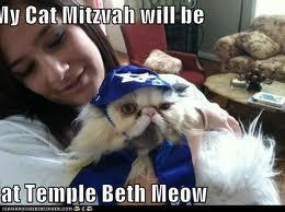 Happy Bark Mitzvah! -- Today I am a Dog!
