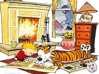 Daily Dose: Calvin & Hobbes Read... Kind of