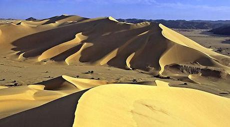 Beautiful And Unusual Desert Images