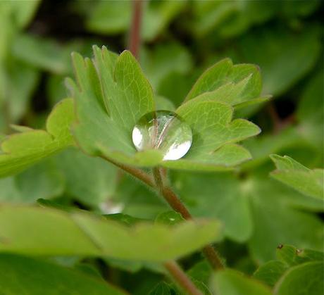 The Husband's Weekend Work