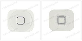 Home button for IPhone 5 Appears