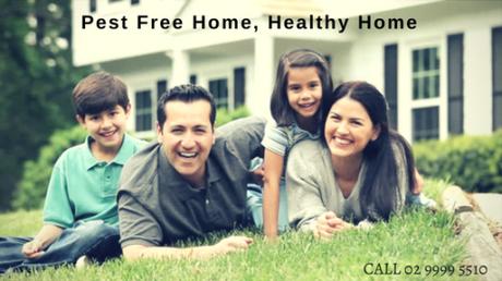 Importance Of Maintaining A Pest Free Home