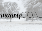 Goals January 2018
