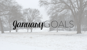 Goals for January 2018
