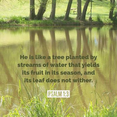 Bible Reading Plan thoughts: Psalm 1:3
