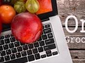 Online Grocery Shopping! Really Simply Effective Guide Save More!
