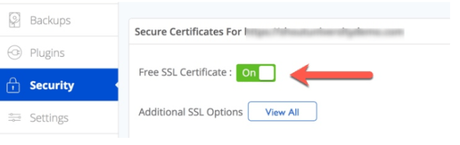 How To Use A Free SSL CERTIFICATE With Bluehost Hosting : Explained