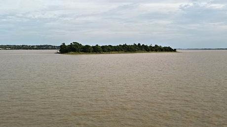 Why is the Garonne river brown? Here is the explanation!