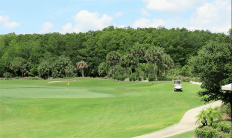One among the many golf courses in Naples