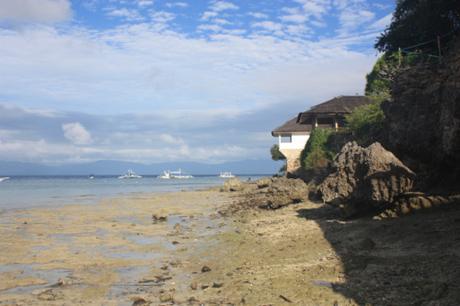 DAILY PHOTO: Low Tide at Panagsama Beach