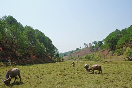 Myanmar: a 3 day trek from Kalaw to Inle Lake