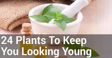 24 Plants That Keep Your Skin Looking Young
