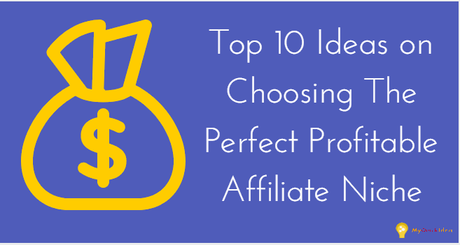 Top 10 Ideas on Choosing The Perfect Profitable Affiliate Niche