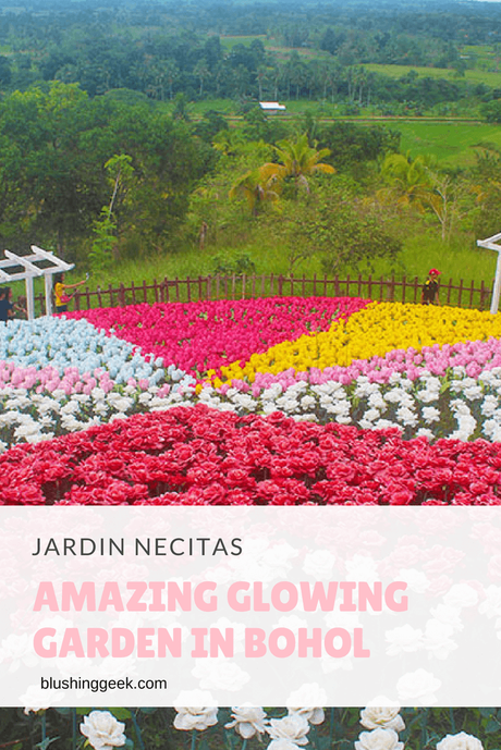 Jardin Necitas – Amazing Glowing Garden in Bohol