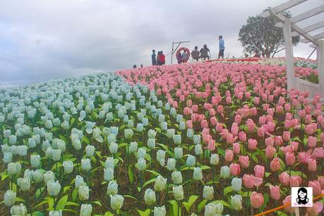 Jardin Necitas