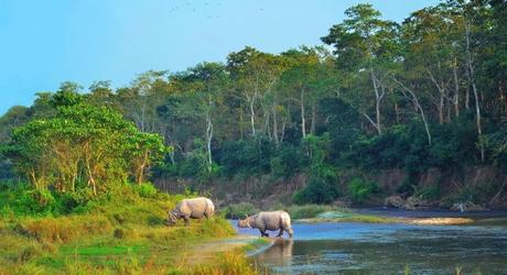 Chitwan_national_park_nepal