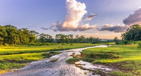 Chitwan National Park_Nepal