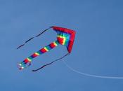 Kite Fell Ground Evoke Pleasant Memories Childhood