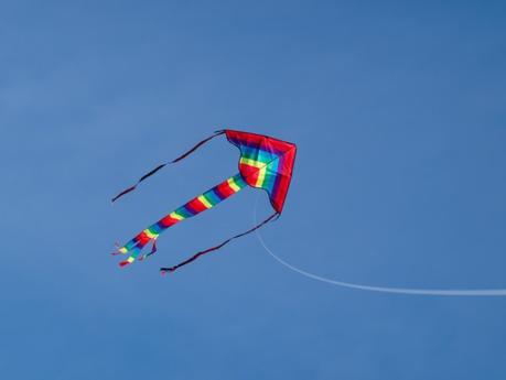 The Kite Fell On The Ground To Evoke Pleasant Memories of Childhood